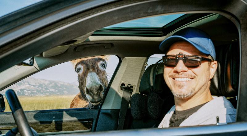 Man smiles at camera while donkey peers into car.