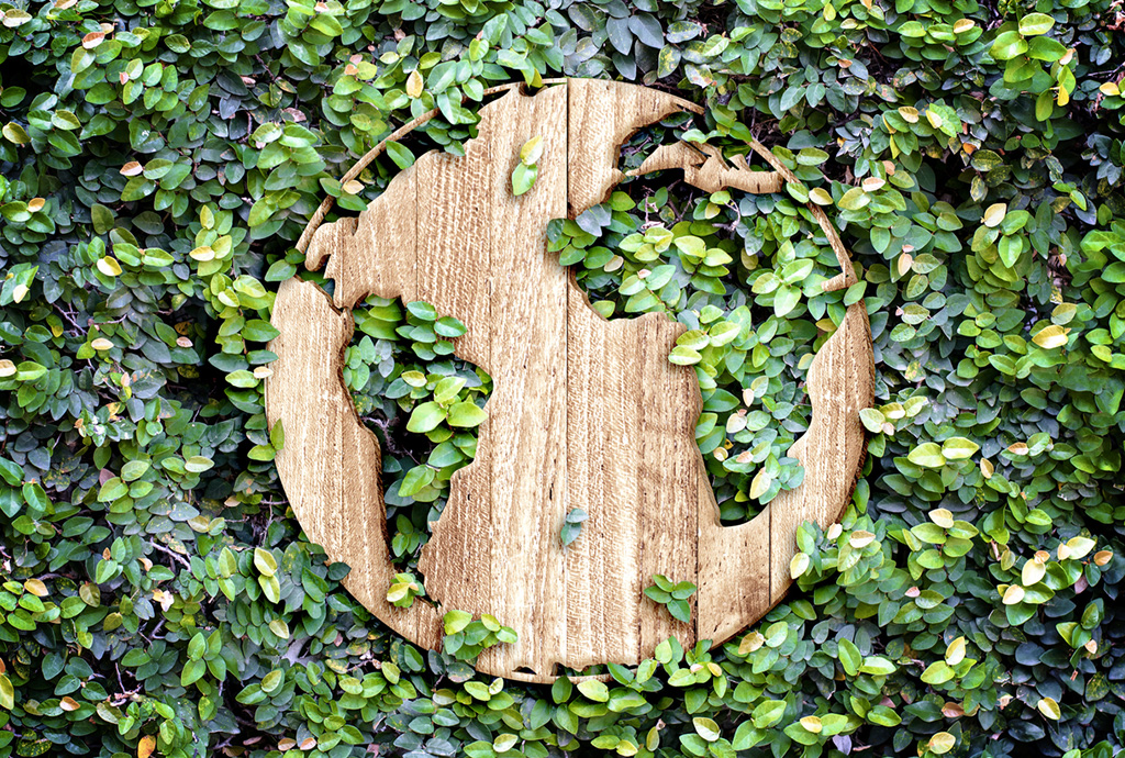 Wood circle figure put inside the plants